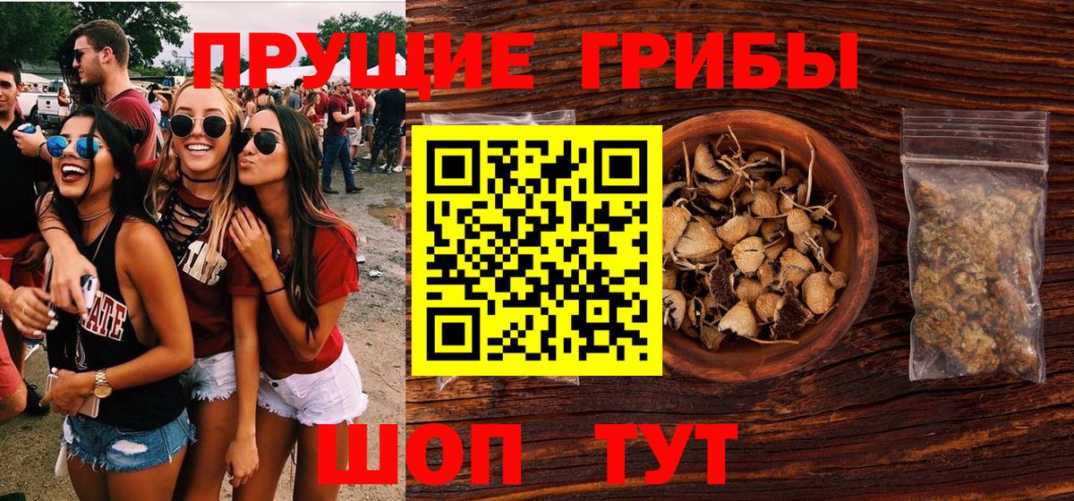 Псилоцибиновые грибы GOLDEN TEACHER Дзержинский