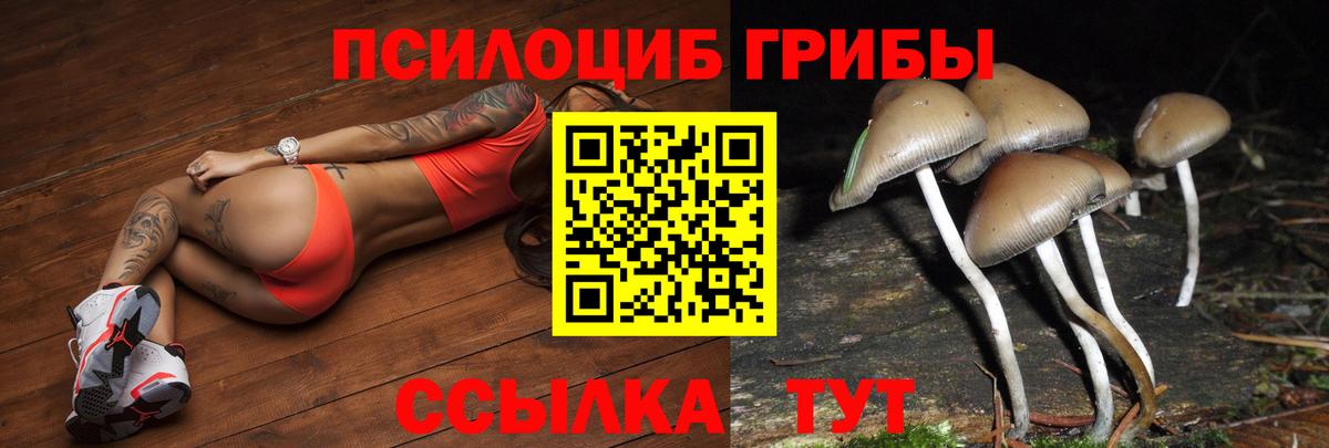 Дзержинский  Галлюциногенные грибы мицелий  Вход с VPN  Псилоцибиновые грибы ЛСД 